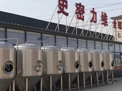 长清精酿啤酒设备厂—如何判断精酿啤酒设备的密封件需要更换？